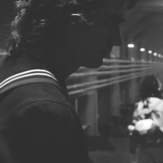 Steve Harrington wallpaper