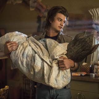 Steve Harrington wallpaper