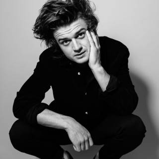 Steve Harrington wallpaper