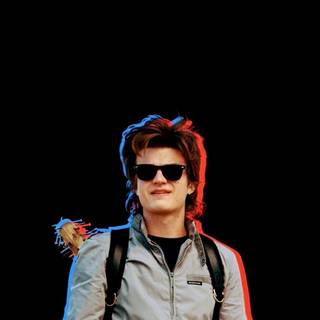Steve Harrington wallpaper