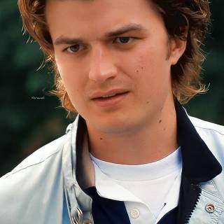 Steve Harrington wallpaper
