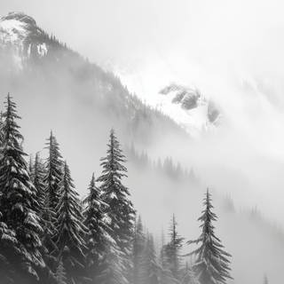Winter foggy mountain wallpaper