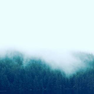 Winter foggy mountain wallpaper