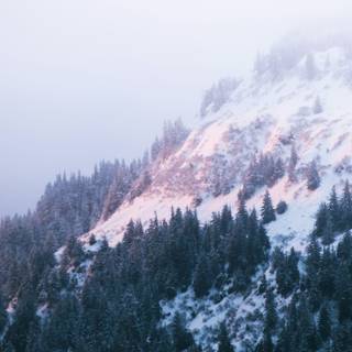 Winter foggy mountain wallpaper