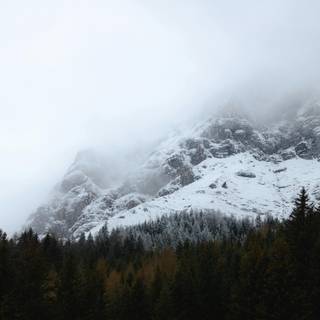 Winter foggy mountain wallpaper