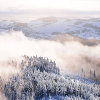 Winter foggy mountain wallpaper