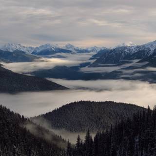 Winter foggy mountain wallpaper