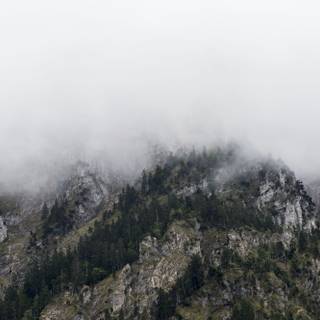 Winter foggy mountain wallpaper