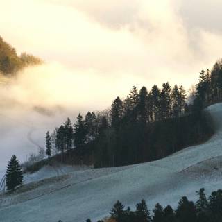 Winter foggy mountain wallpaper