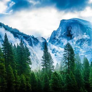 Winter foggy mountain wallpaper