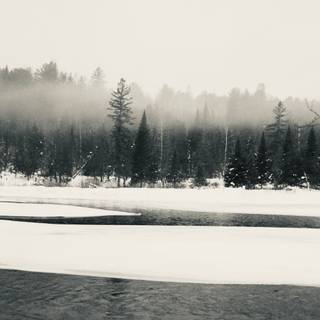 Winter foggy mountain wallpaper