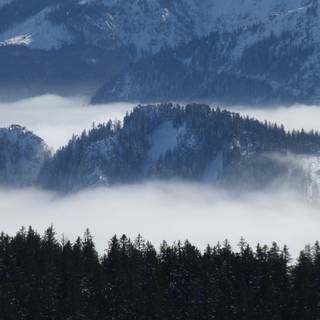 Winter foggy mountain wallpaper