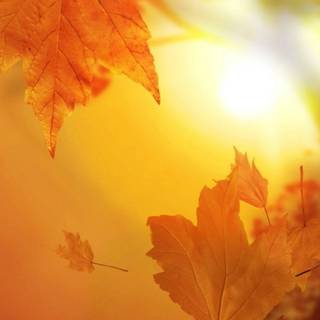 Happy autumn iPhone wallpaper