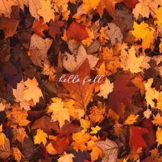 Happy autumn iPhone wallpaper