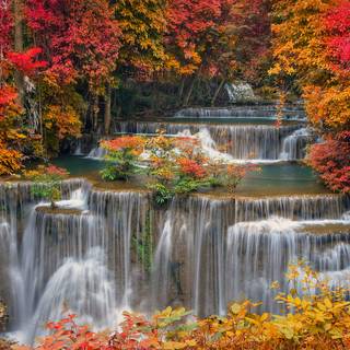 Autumn forest 1920x1080 wallpaper