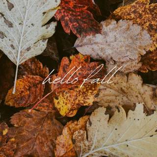 Cozy autumn mobile wallpaper