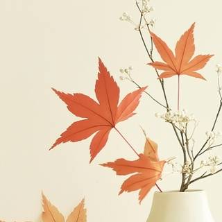 Cozy autumn mobile wallpaper