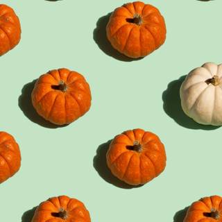 1080x1920 autumn pumpkin wallpaper