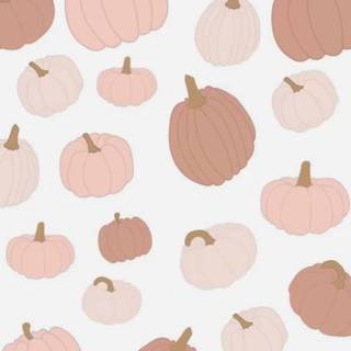 1080x1920 autumn pumpkin wallpaper