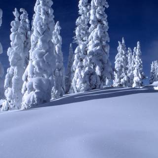 4k winter ice wallpaper