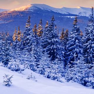 2k winter PC wallpaper