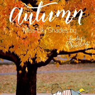 1080x1920 autumn pumpkin wallpaper