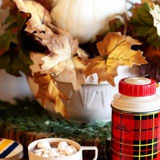 1080x1920 autumn pumpkin wallpaper