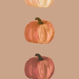 1080x1920 autumn pumpkin wallpaper