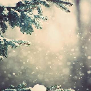 Winter laptop vintage wallpaper