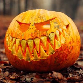 1080x1920 autumn pumpkin wallpaper