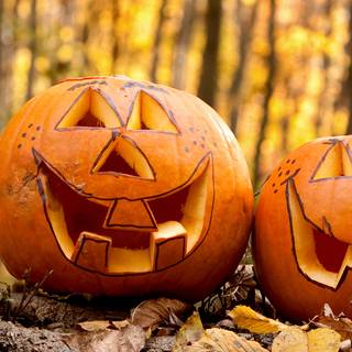 1080x1920 autumn pumpkin wallpaper