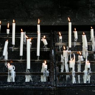 Halloween witches and candles wallpaper