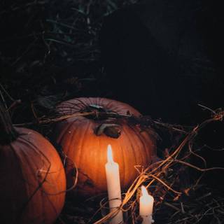 Halloween witches and candles wallpaper