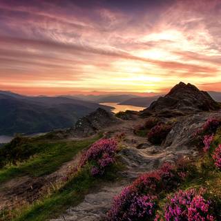 Scotland Highlands and Rolling Green Hills wallpaper