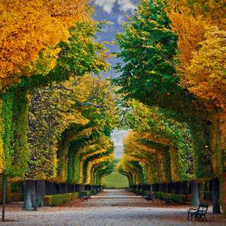 Vienna Austria Schönbrunn Palace Gardens wallpaper