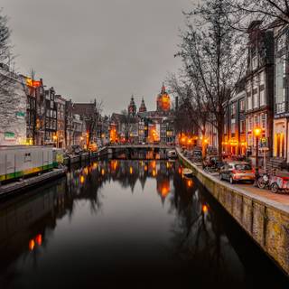 Amsterdam Netherlands tulips and canals wallpaper