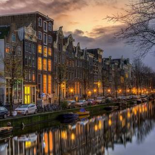 Amsterdam Netherlands tulips and canals wallpaper