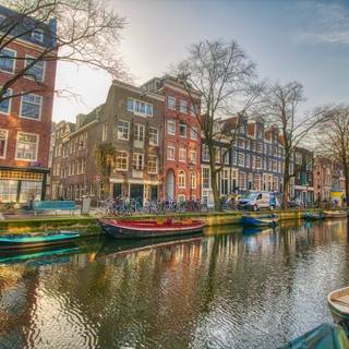 Amsterdam Netherlands tulips and canals wallpaper