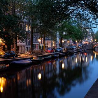 Amsterdam Netherlands tulips and canals wallpaper