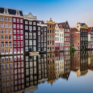 Amsterdam Netherlands tulips and canals wallpaper