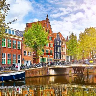 Amsterdam Netherlands tulips and canals wallpaper