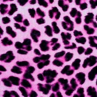 Electric pink and purple wallpaper