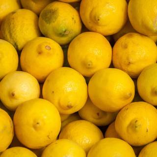 Citrus colors orange, lemon, lime wallpaper