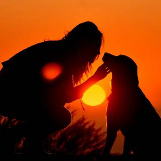Pet lover wallpaper