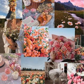 Spring flowers aesthetic phone wallpaper