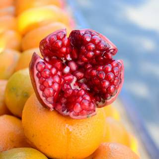 Pomegranate juice wallpaper