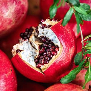 Pomegranate juice wallpaper