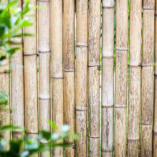 Building materials wallpaper