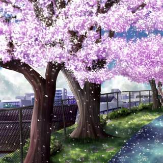 Sakura tree wallpaper