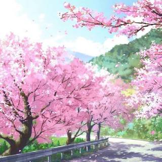 Sakura tree wallpaper